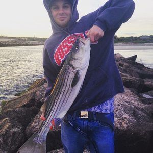 Meet your Posher, Joey